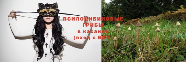 метамфетамин Аркадак